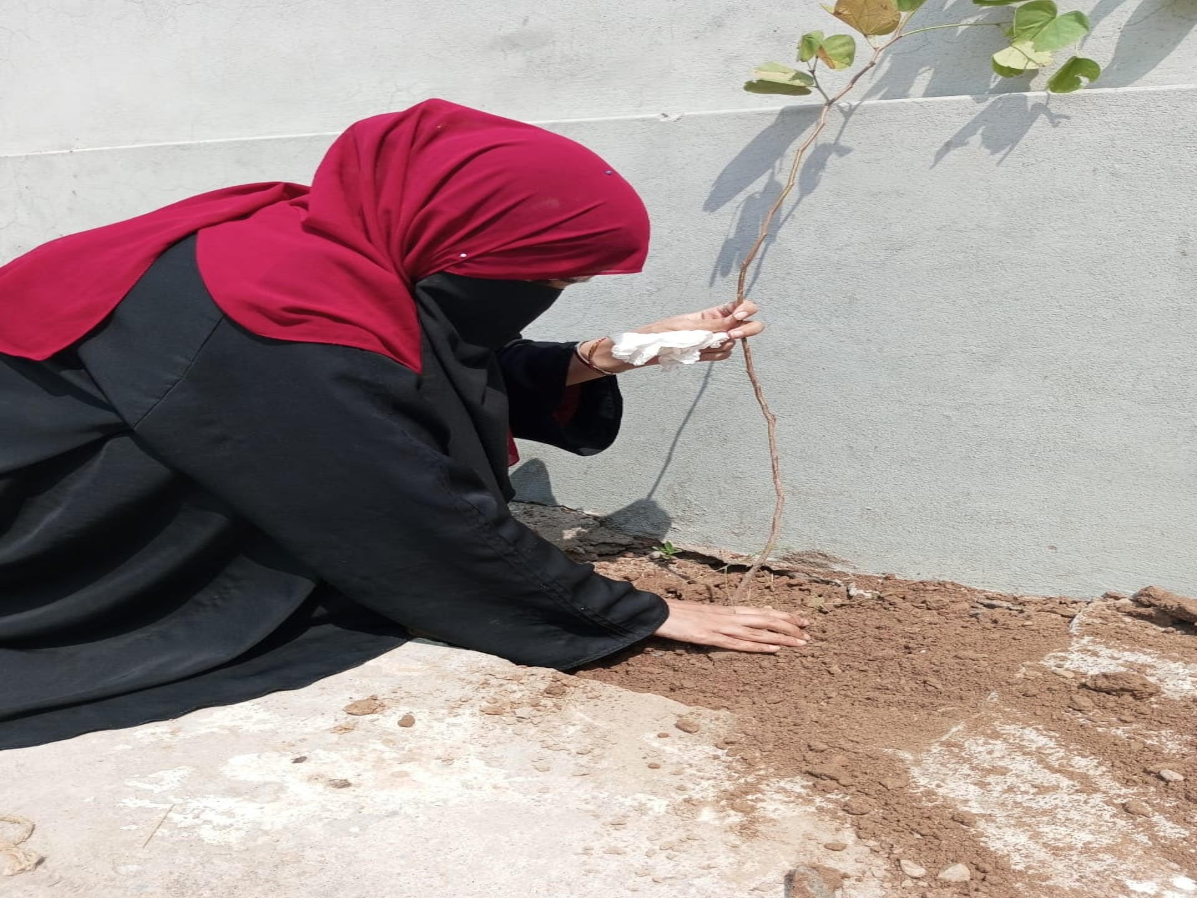 Plantation Drive