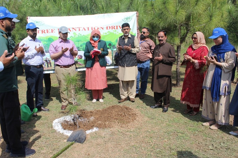 World Forest Day 2026